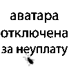 Pupis